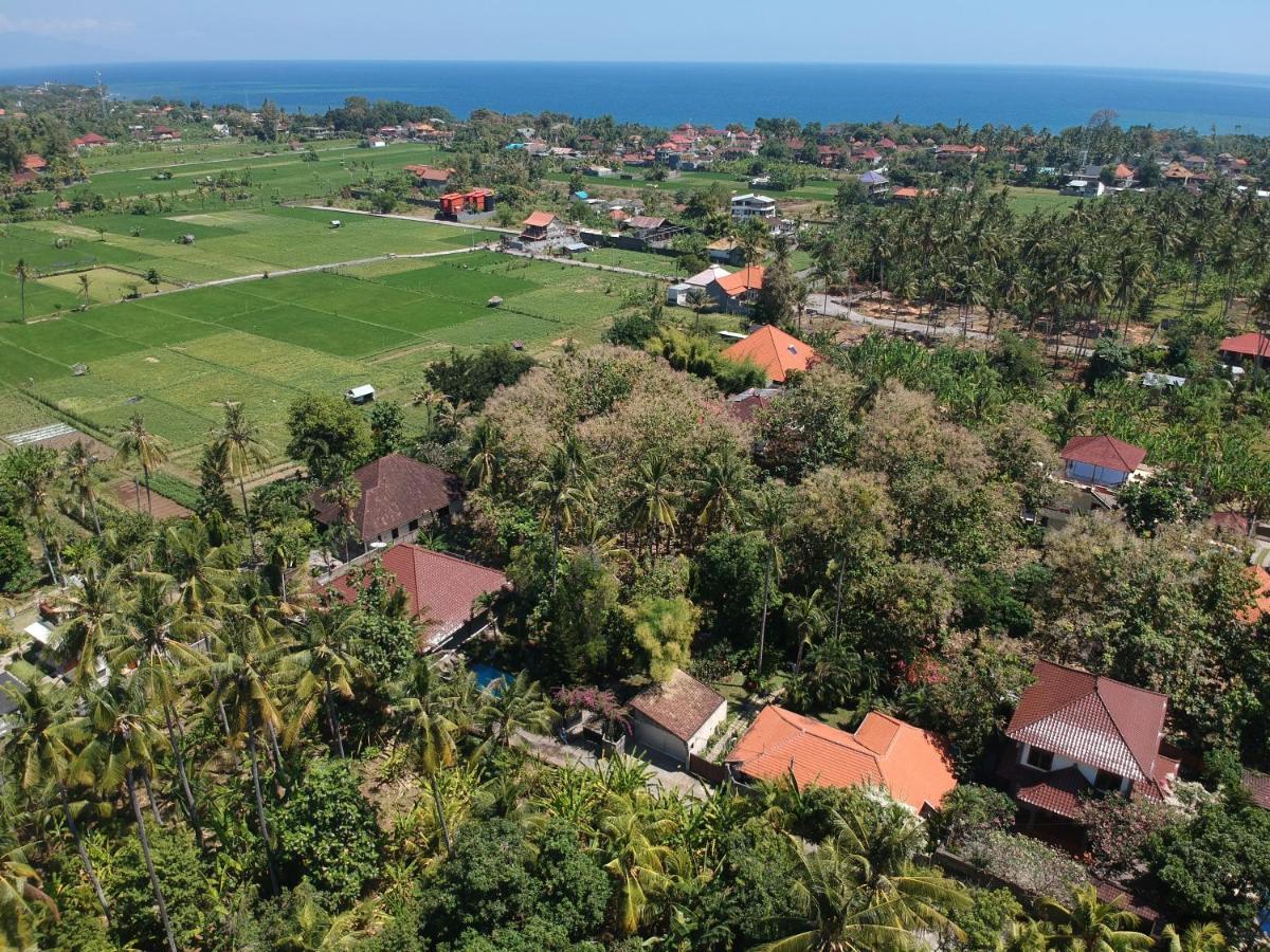 Villa Kelapa Lovina Exteriör bild